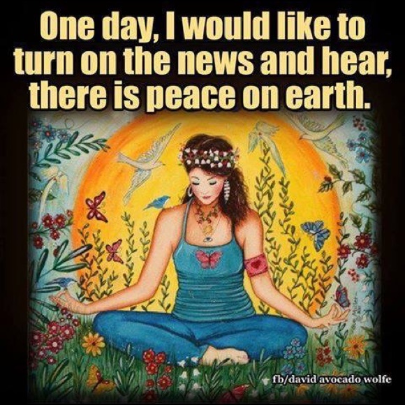 Meet your Posher, Sandy - Picture 17 of 17